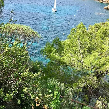 Daire Artistic Antibes